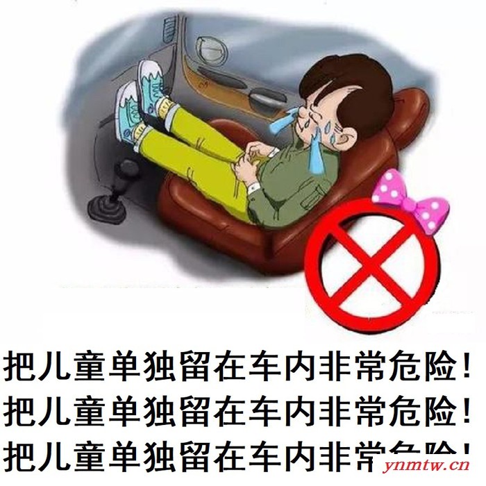 智能车内人员监控系统孩子遗忘车里预警系统宠物遗忘车内提醒系统图4