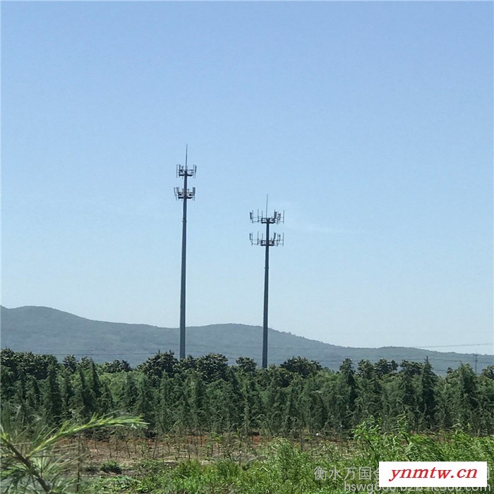厂家生产 电力通讯塔  灯杆通讯塔 视频监控杆 镀锌带钢价格图5