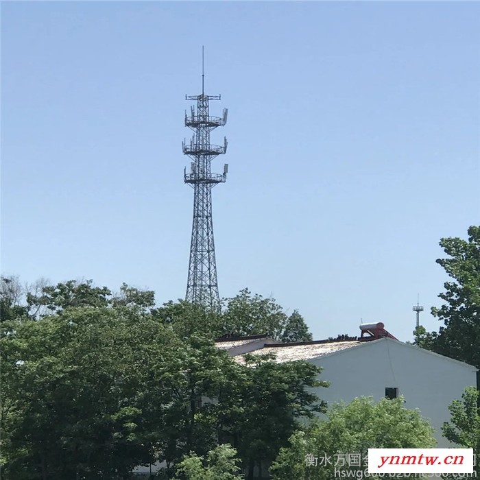 厂家生产 电力通讯塔  灯杆通讯塔 视频监控杆 镀锌带钢价格