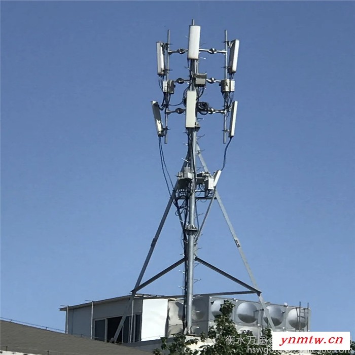 厂家生产 电力通讯塔  灯杆通讯塔 视频监控杆 镀锌带钢价格图3