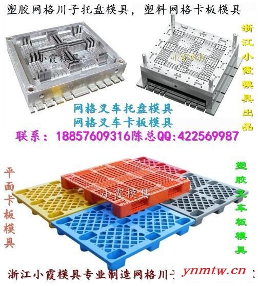 浙江小霞模具 国外叉车网格栈板塑料模具 叉车双面栈板塑胶模具 叉车双层栈板塑胶模具 叉车川字栈板塑胶模具专业厂家图2