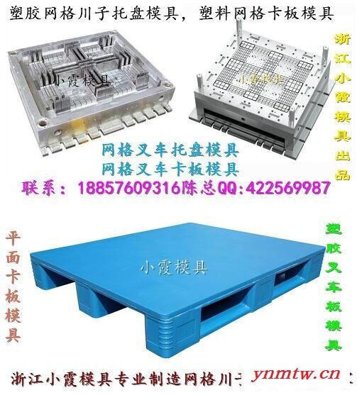 浙江小霞模具 国外叉车网格栈板塑料模具 叉车双面栈板塑胶模具 叉车双层栈板塑胶模具 叉车川字栈板塑胶模具专业厂家图4