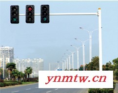 大妙光JK-95监控系统监控杆厂家   交通标志杆 热镀锌监控杆 灯柱灯杆 监控支架图1