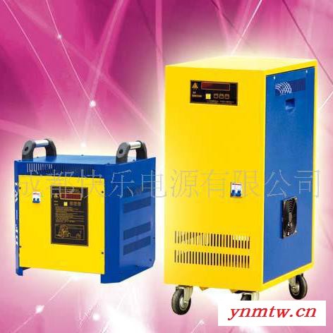 鼎丰牌智能充电机DF-4880P5 合力叉车充电机 48V80A 杭州叉车充电机 台励福叉车充电机 电动叉车充电器图2