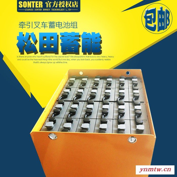 电动叉车蓄电池 杭叉电瓶24-9PZB450 杭州电动叉车电池48V450AH 杭叉电瓶24-9PZB450蓄电池图3