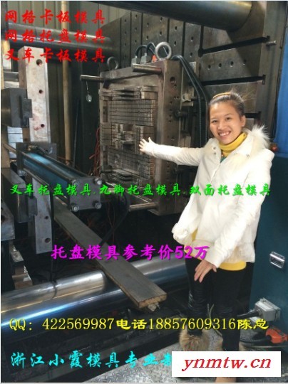 专做注射叉车九脚卡板模具公司图5