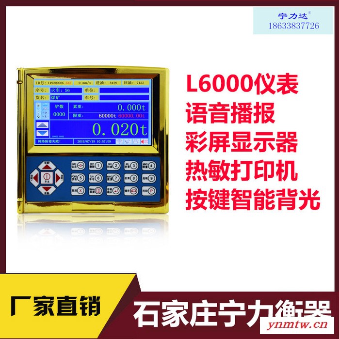 石家庄叉车电子秤 称重显示控制器 电子小地磅 仪表计重台秤仪表头叉车头 326图6