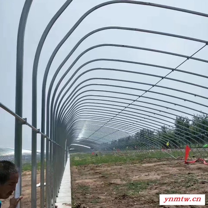 西城 电动叉车C型钢温室大棚图7