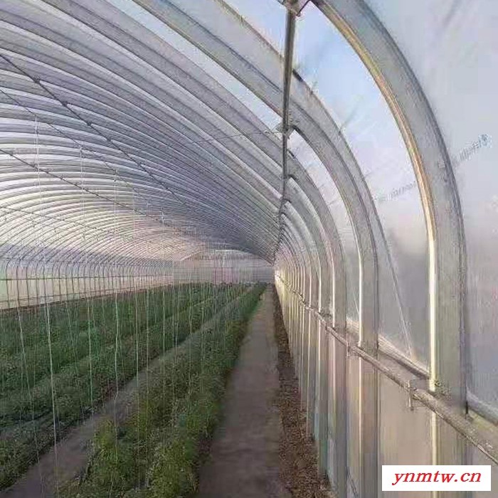 西城 电动叉车C型钢温室大棚图4
