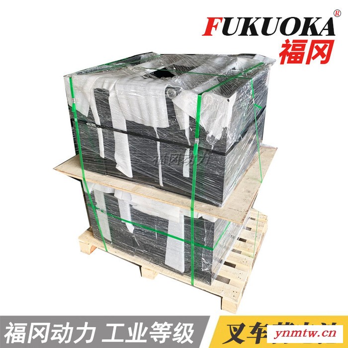 40-5DB500合力蓄电池80v 合力CPD30叉车电瓶 80V500Ah叉车蓄电池组图2