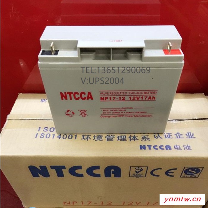 提供NTCCA蓄电池NP55-12 12V55AH直流屏控制系统图2