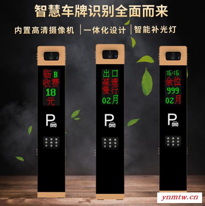 北京龙鼎瑞通 大门出入口车牌识别系统   停车场智能云平台控制系统设备价格图2