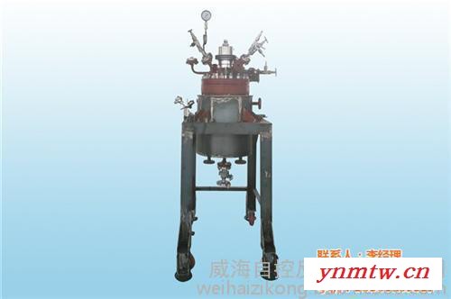 聚合反应釜  高压反应釜  聚合反应釜釜顶压力控制系统ZK-2901