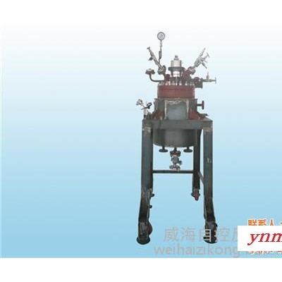 聚合反应釜  高压反应釜  聚合反应釜釜顶压力控制系统ZK-2901