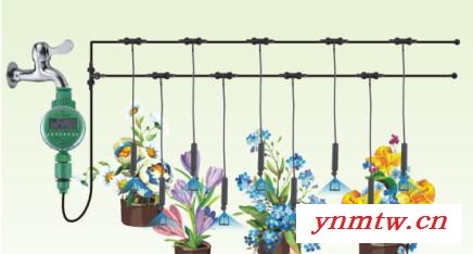 **庭院喷灌 阳台盆栽滴灌  智能控制  定时灌溉，控制系统图1