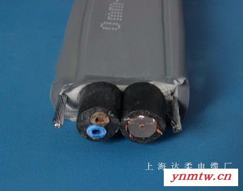 TSYV2G-75-5+RVV 2*1.0电梯专用视频监控电缆，厂家生产直销，达柔牌电缆