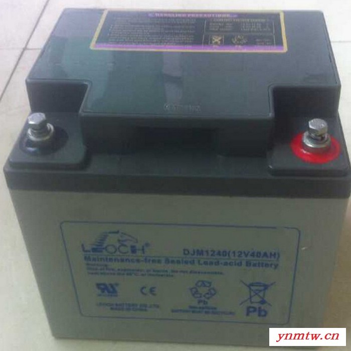 西宁理士蓄电池DJM1265S/12V65AH控制系统电池 质保三年图3