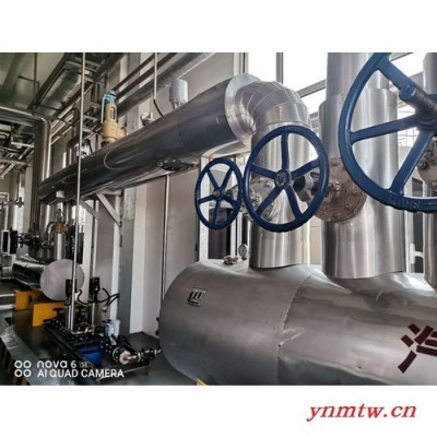 泰普瑞 定制 高温阀 电站锅炉压力容器 减温减压控制系统 减温器