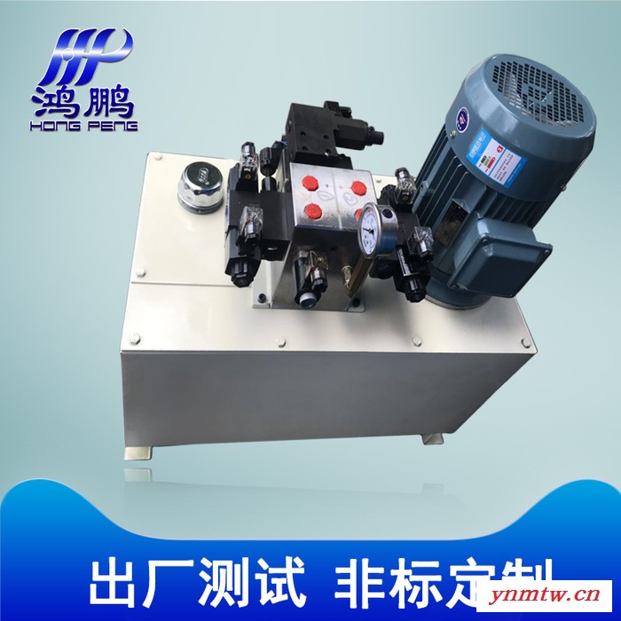 专业设计卧式液压系统 液压控制箱 3HP/VP/80L液压系统图4