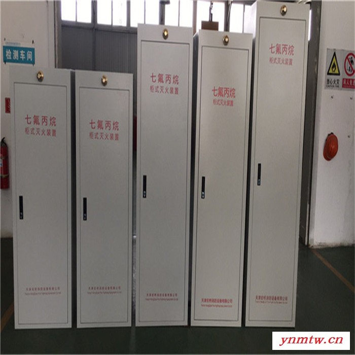 广西灵川 气体灭火控制盘 调度控制中心用气体灭火系统 定期维护图3