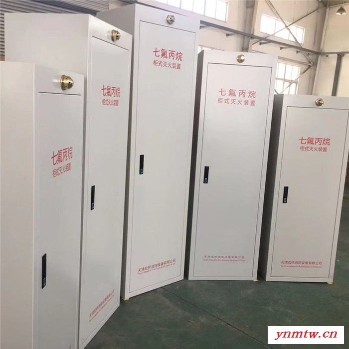 广西灵川 气体灭火控制盘 调度控制中心用气体灭火系统 定期维护图2
