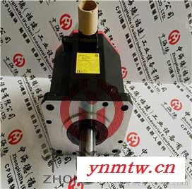Fanuc/发那科伺服定位系统A03B-0819-C053图3