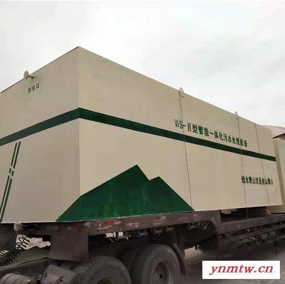 国泰丰源 WS-11型控制系统 WS-1型.WS-11型系列智能污水处理设备 污水处理设备厂家 价格电议 欢迎来电咨询图2