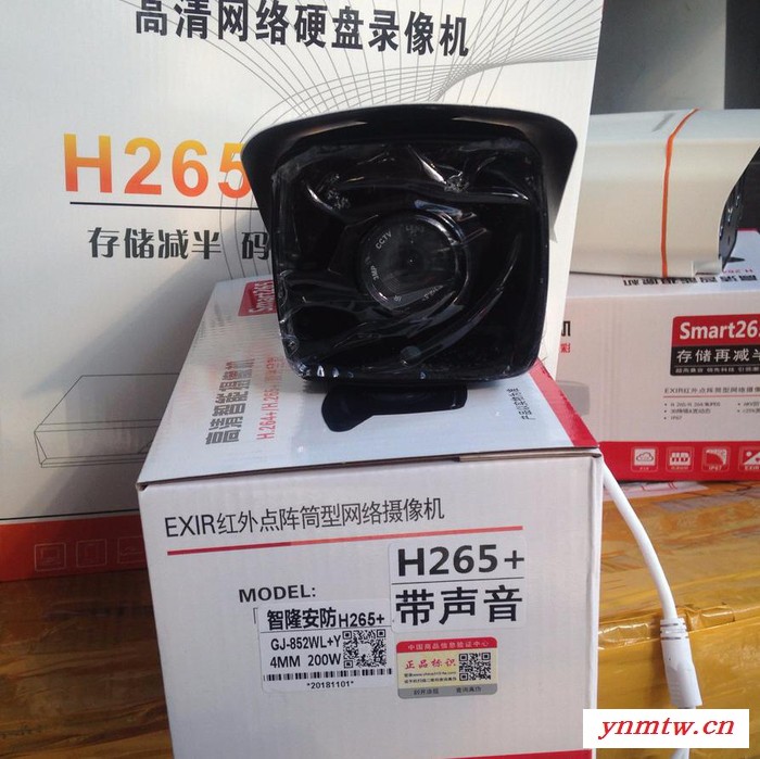 智隆安防603AHD 黑光+暖光摄像头网络视频监控系统 、入侵报警系统、背景音乐及广播系统图3