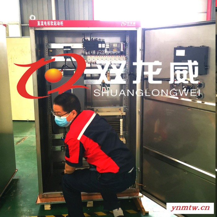 江苏镇江 直流油泵润滑系统应急软起动柜 直流软启动控制柜 售后有保障图2