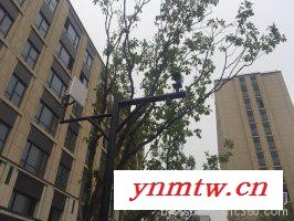 昌康CSD-5800N 无线视频监控   室外无线网桥图7