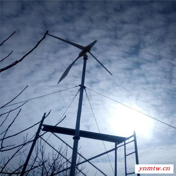 蓝润10KW 风力发电机 小型风力发电系统 三相交流同步发电机 正弦波逆变器 全自动控制器 增强玻璃钢风叶图2
