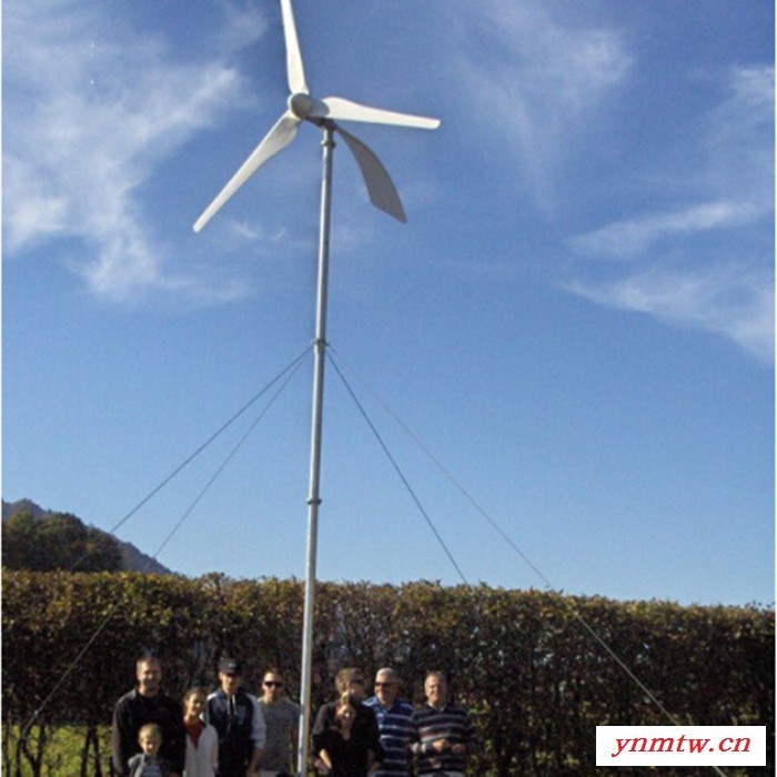 蓝润10KW 风力发电机 小型风力发电系统 三相交流同步发电机 正弦波逆变器 全自动控制器 增强玻璃钢风叶图5