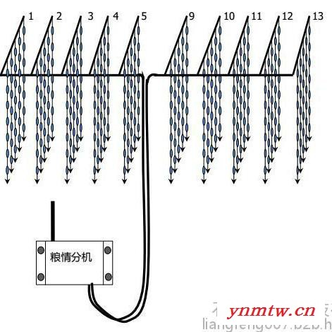 粮情监控系统、粮情监测系统、无线粮情测控系统**图3