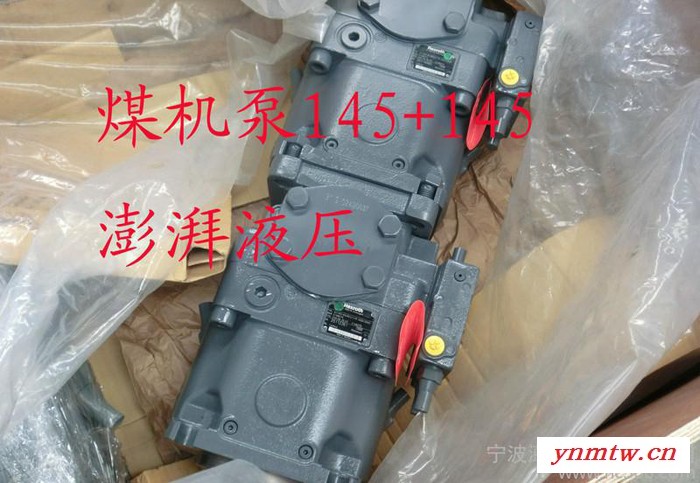 三一掘进机原装力士乐A11VO145LRDS/11R-NZD图3
