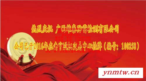 桂林控制系统防雷检测图3