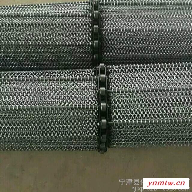 华臻 各型号输送机 链条式网带 折弯人字型网带 欢迎来电选购