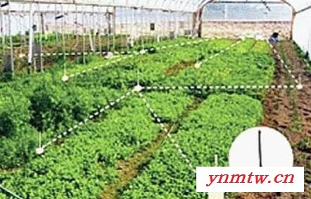 NSWSK 物联网农业智能控制系统图2