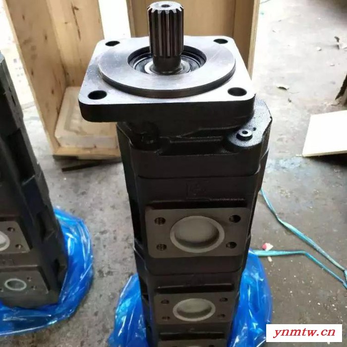 重庆掘进机双联齿轮泵_厂家图3
