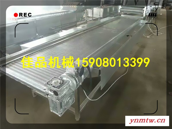 定做不锈钢网带输送机  链板式输送线图1