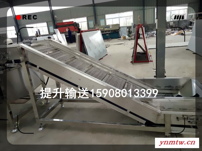 定做不锈钢网带输送机  链板式输送线图3
