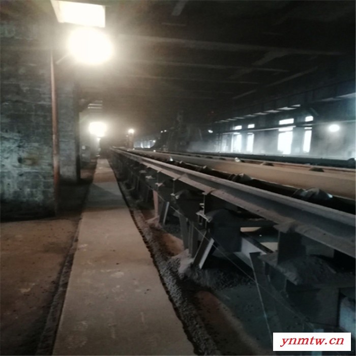 厂家现货带式输送机   流水线皮带输送机  爬坡输送设备图6