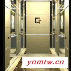 专业**定制电梯曳引观光电梯家用电梯商场电梯载人客乘电梯残疾人升降机简易货梯图2