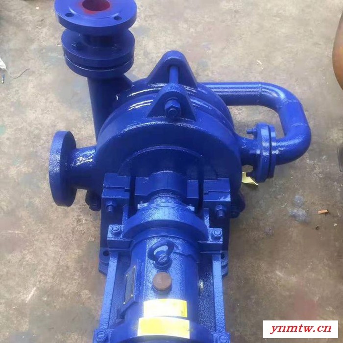 压滤机入料泵 板框压滤机入料泵，压滤机入料泵 水泵配件厂家图4