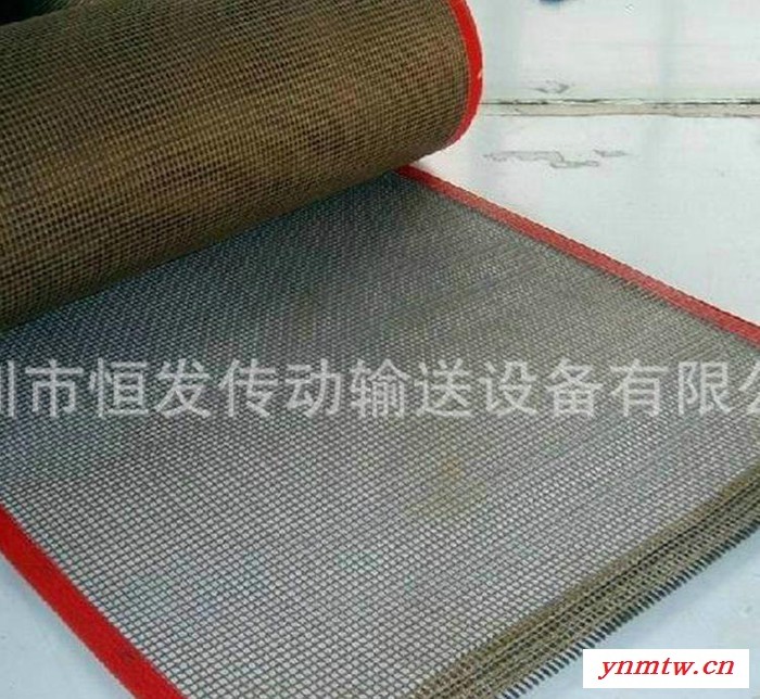 **铁氟龙输送机网带实用链条式网带工业传送网带图2
