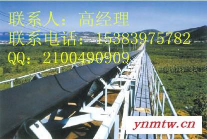 供应皮带输送机 带式输送机厂家  报价图2