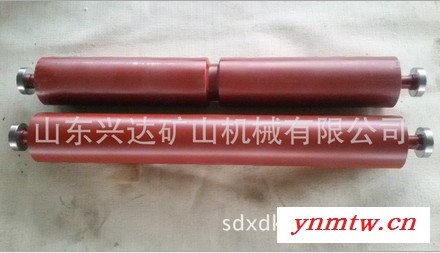 兴达GLD2000给煤机配件-托辊图2