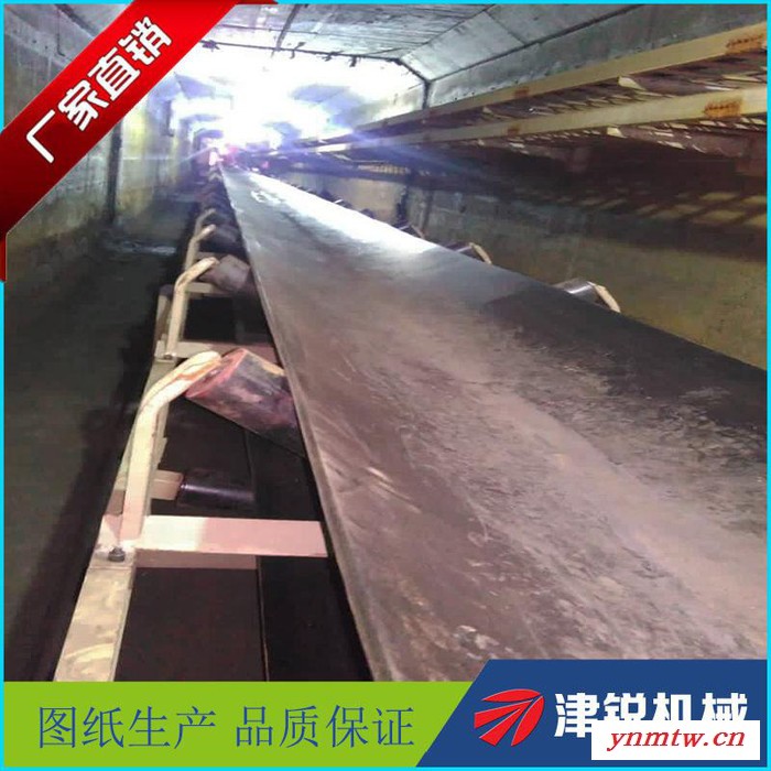 供应津锐DTII皮带输送机   矿用带式输送机图6