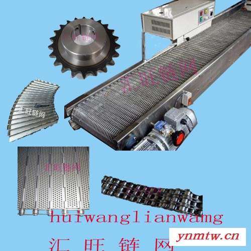 汇旺厂家专业生产 304耐高温输送机 不锈钢链板输送机 皮带式输送机 不锈钢网链输送机图7