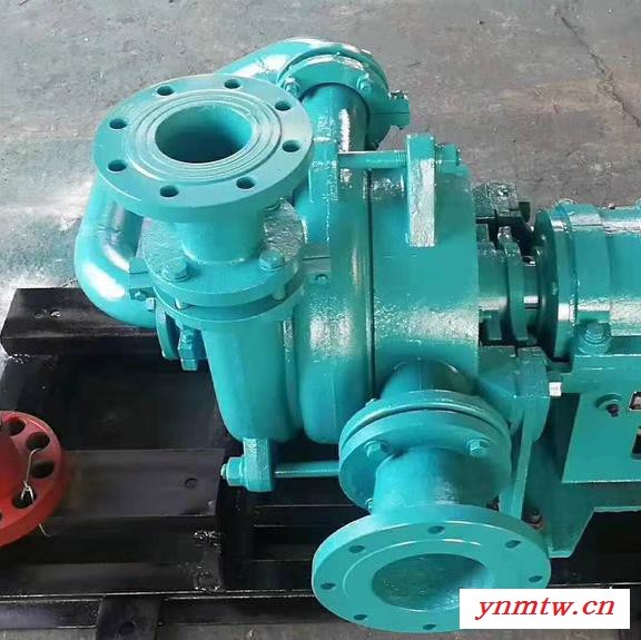 压滤机入料泵 板框压滤机入料泵 SYA ZJE-II压滤机入料泵 水泵厂家图1