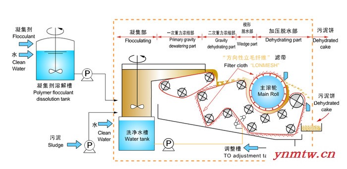 专业生产供应DY500型带式压滤机图4
